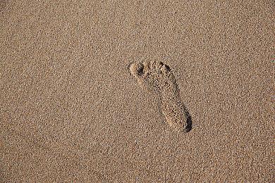 《毁灭战士：黑暗时代》IGN 9分 发售宣传片